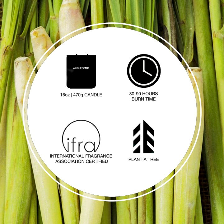 Lemongrass Scented Non Toxic Candle - 100% Natural Coconut Wax Candle