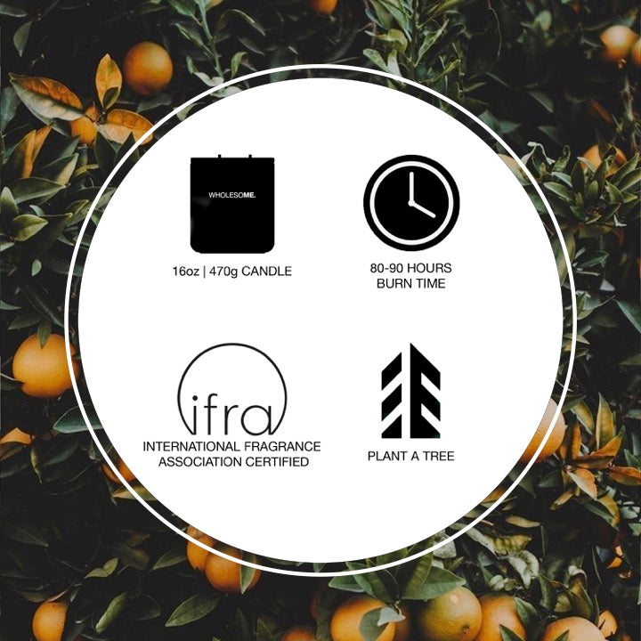 Orange + Tangerine Scented Non Toxic Candles - 100% Natural Coconut Wax Candle